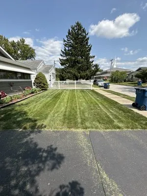 Turf Pro Lawn Care Logo