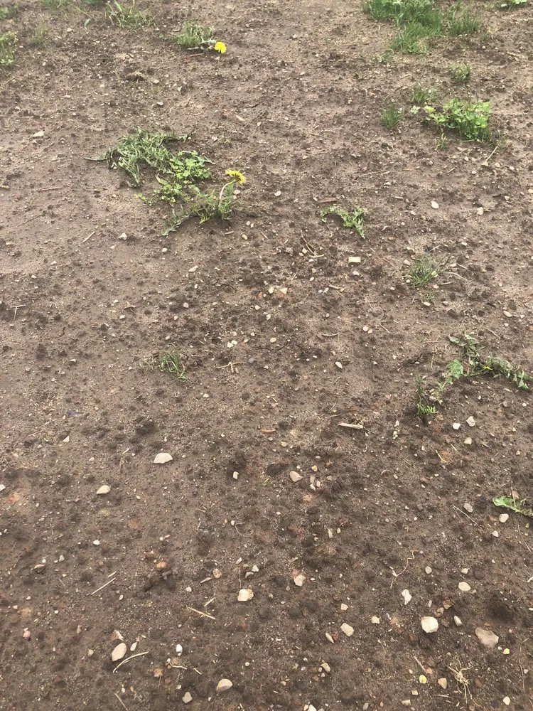 Trusted landscape design in Green Bay, WI - Turf Pro Lawncare & Snow Removal