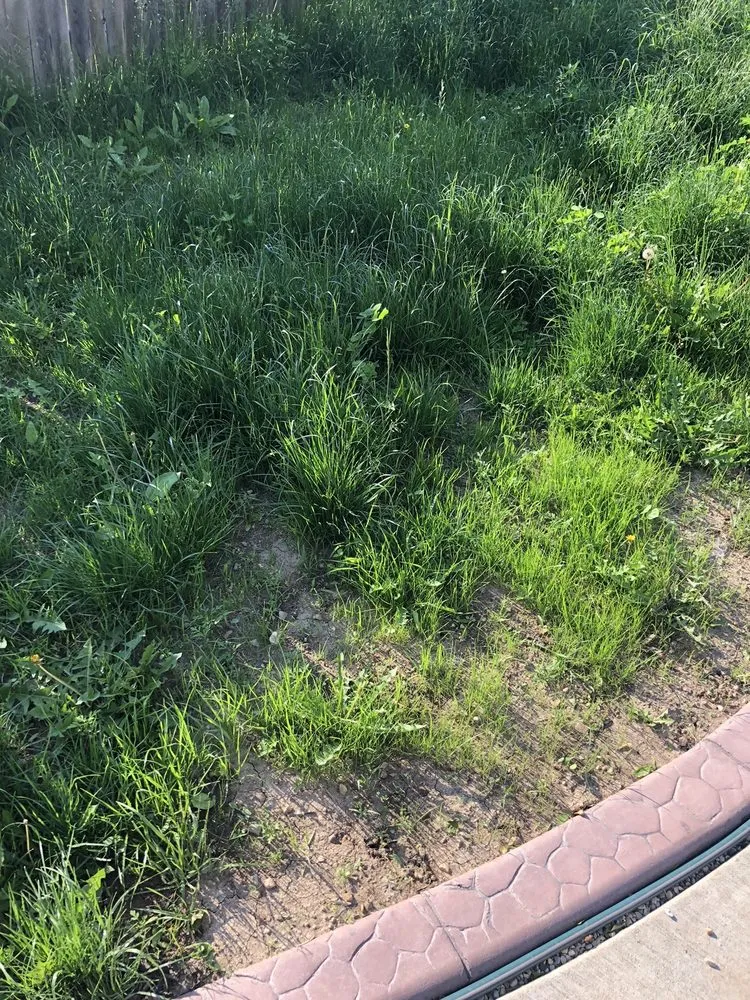 Trusted yard maintenance in Green Bay, WI - Turf Pro Lawncare & Snow Removal