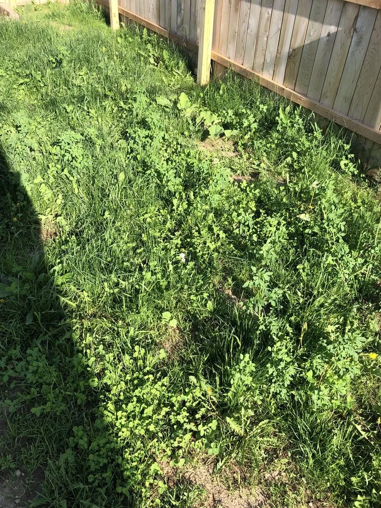 Trusted garden landscaping with custom design in Green Bay, WI by Turf Pro Lawncare & Snow Removal