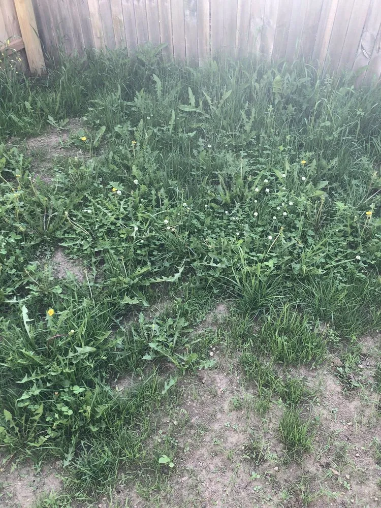 Reliable outdoor landscaping in Green Bay, WI - Turf Pro Lawncare & Snow Removal