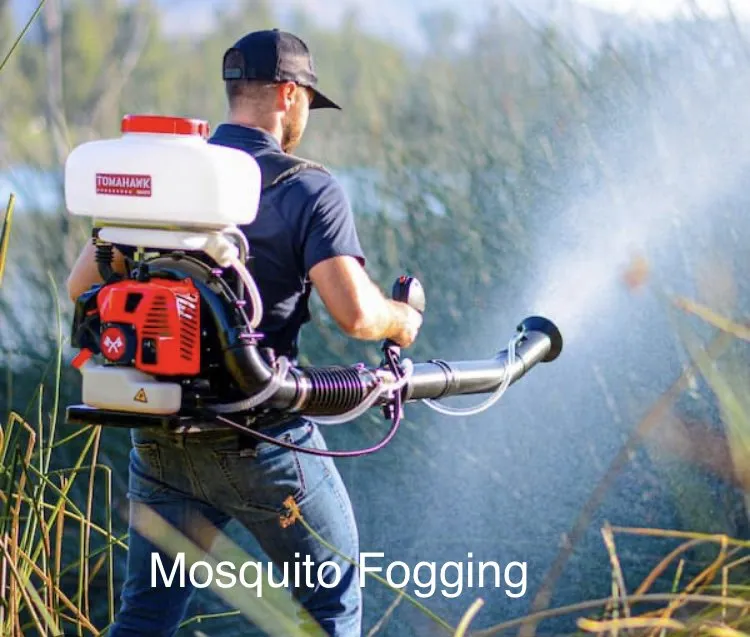 Local landscape design in Myrtle Beach, SC - Turf Pro of Myrtle Beach