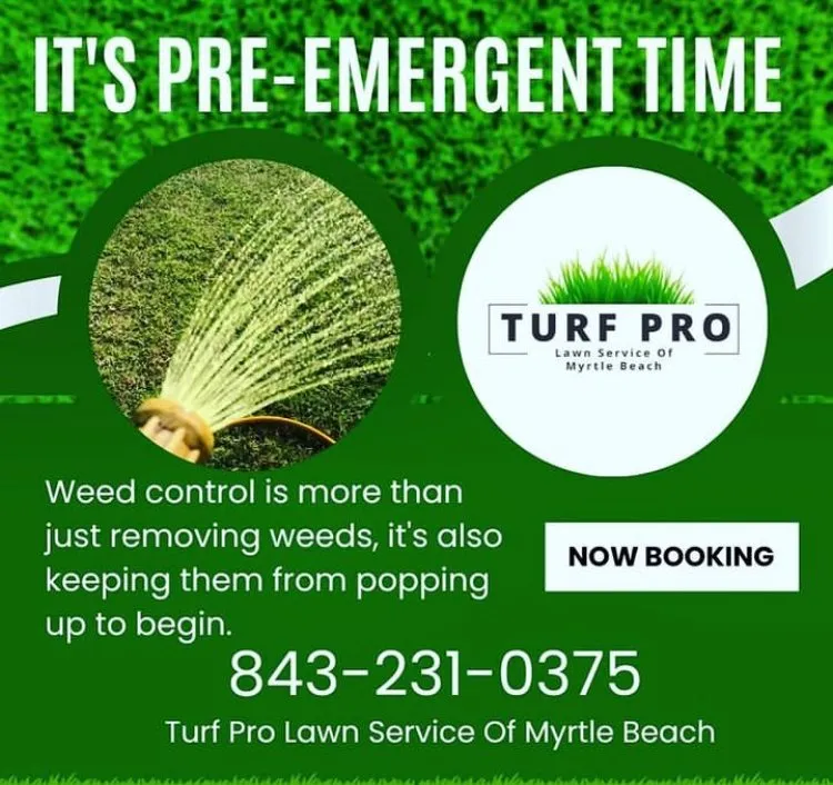 Local landscape design for outdoor upgrades in Myrtle Beach, SC by Turf Pro of Myrtle Beach