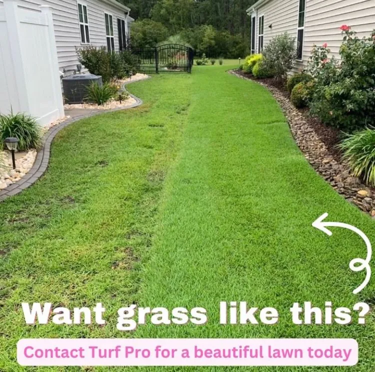 Custom landscaping services in Myrtle Beach, SC - Turf Pro of Myrtle Beach