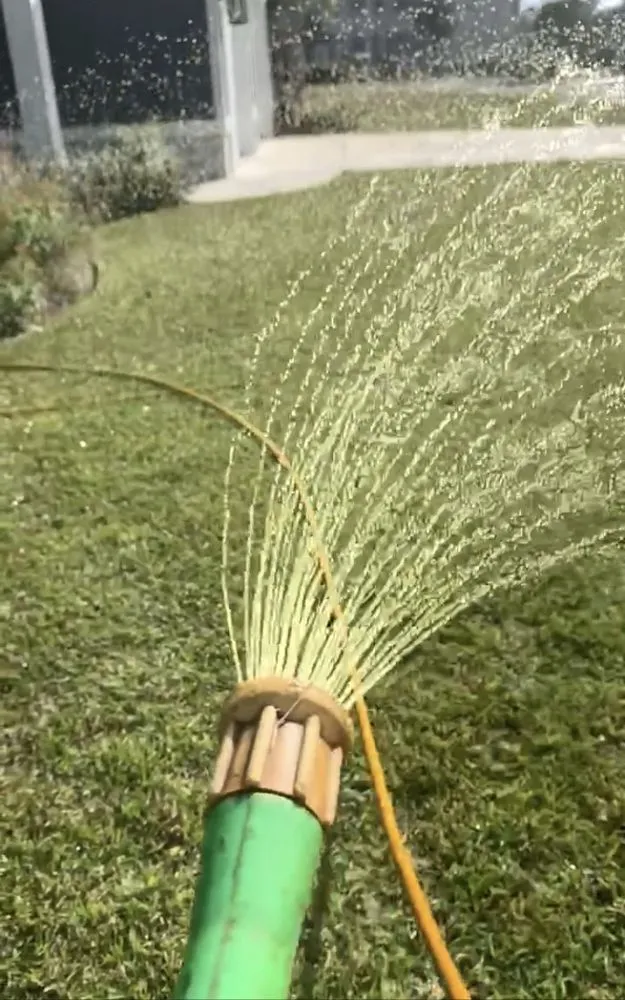 Reliable yard cleanup service experts serving Myrtle Beach, SC - Turf Pro of Myrtle Beach