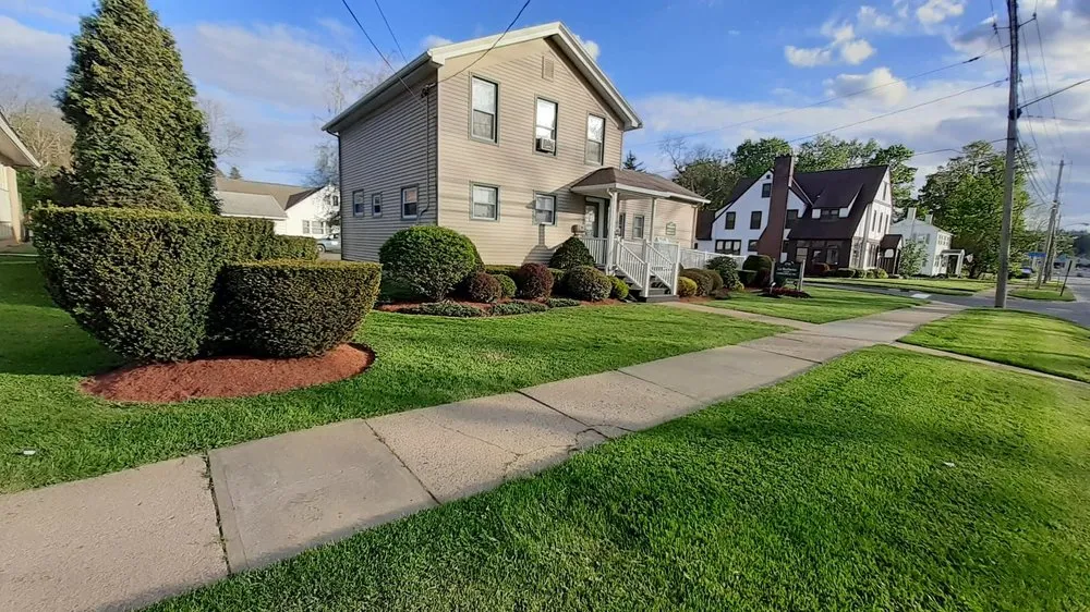 Professional yard cleanup service experts serving Utica, NY - Turf Pro Outdoor Service