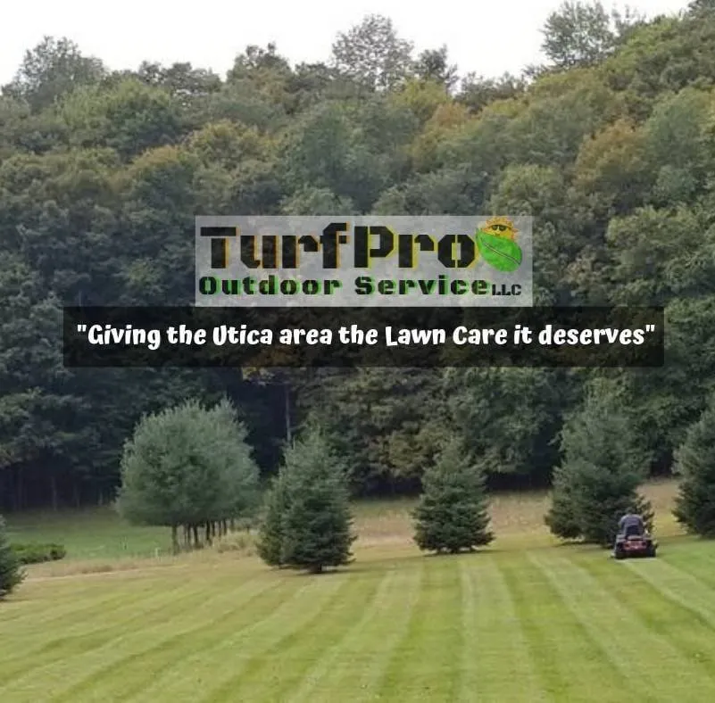 Trusted landscape design near you in Utica, NY by Turf Pro Outdoor Service