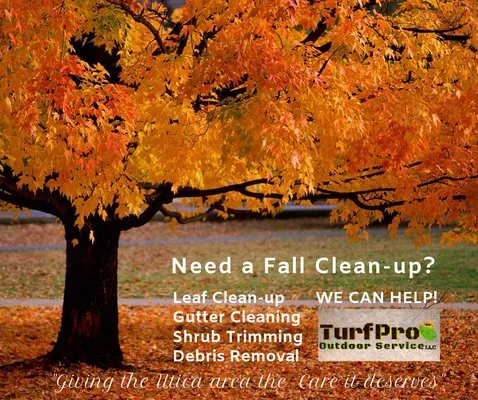 Turf Pro Outdoor Service Logo