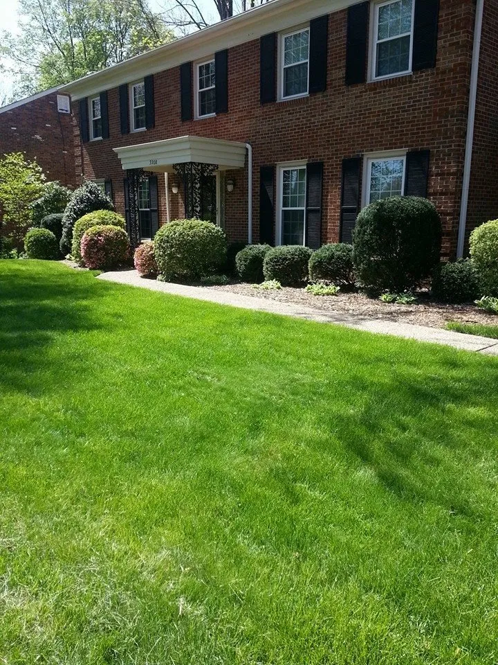 Professional yard maintenance in Louisville, KY - Turf Pro Outdoor Solutions