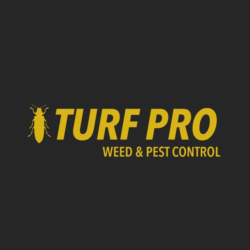 Trusted garden landscaping in Hobbs, NM - Turf Pro Weed and Pest Control