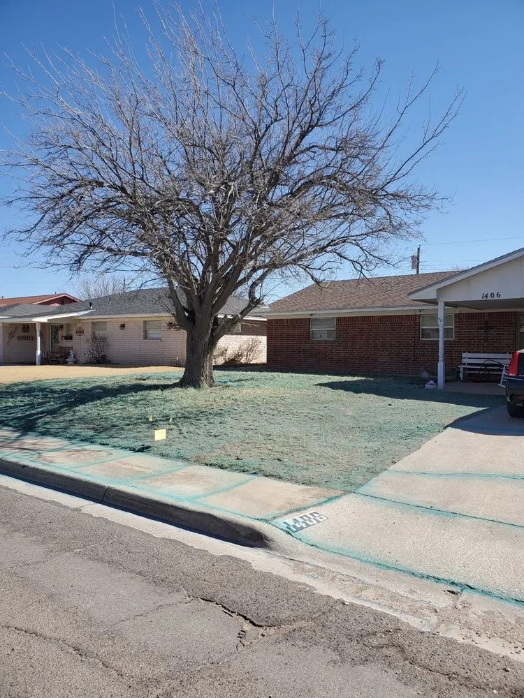 Expert yard cleanup service in Hobbs, NM by Turf Pro Weed and Pest Control