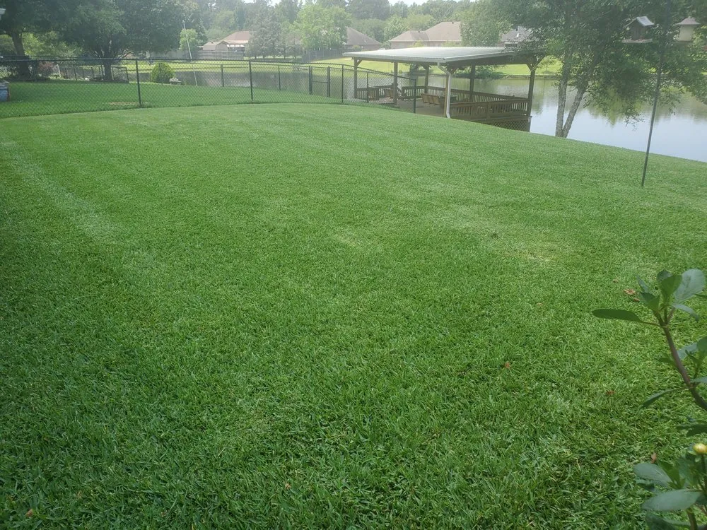 Trusted landscaping services for beautiful yards across Pineville, LA - Turf Pro's Lawn Care