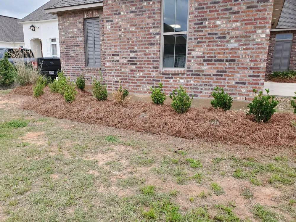 Trusted lawn care service experts serving Pineville, LA - Turf Pro's Lawn Care