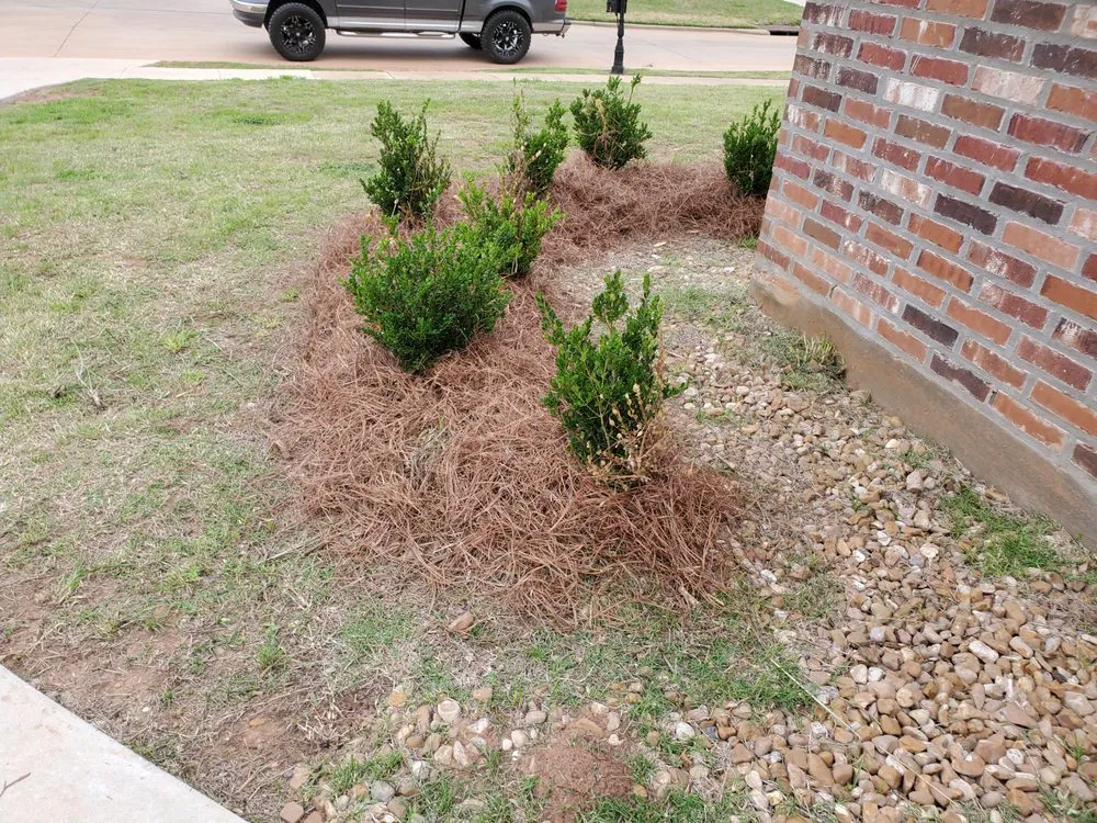 Reliable landscaping services for year-round maintenance in Pineville, LA by Turf Pro's Lawn Care