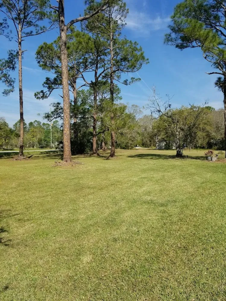Affordable yard cleanup service experts serving New Smyrna Beach, FL - Turf Pros