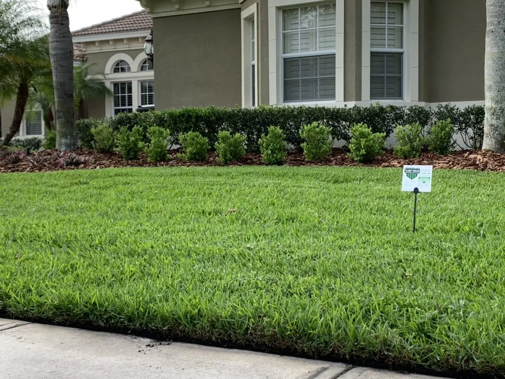Custom lawn mowing service in Oldsmar, FL - Turf Pros Of Tampa Bay
