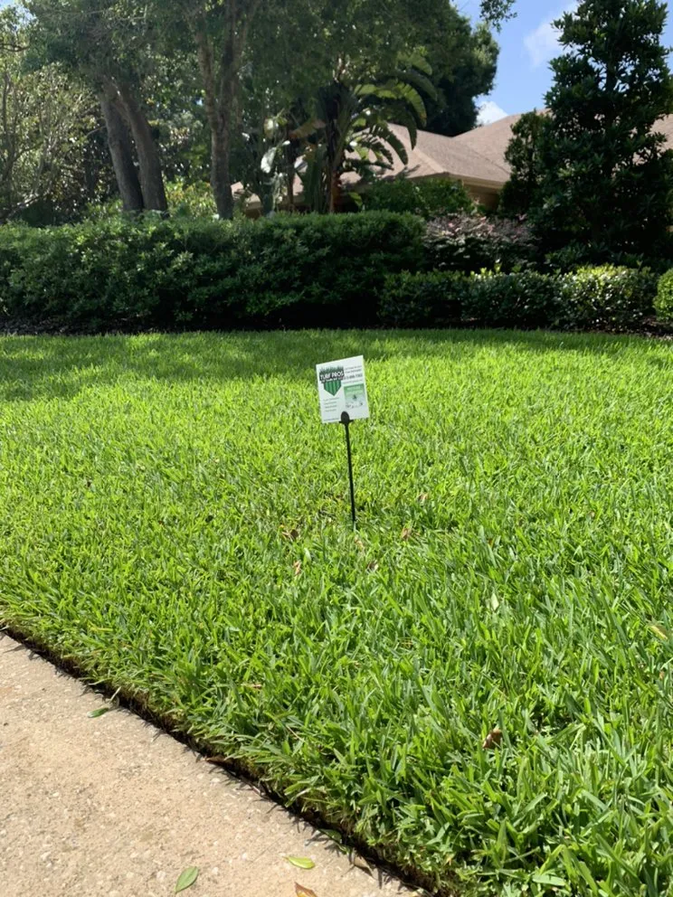 Reliable residential landscaping for beautiful yards in Oldsmar, FL by Turf Pros Of Tampa Bay