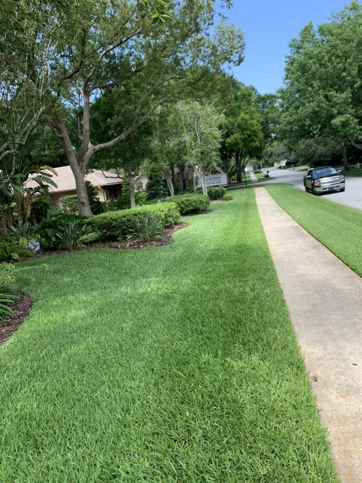 Local lawn mowing service for year-round maintenance in Oldsmar, FL by Turf Pros Of Tampa Bay