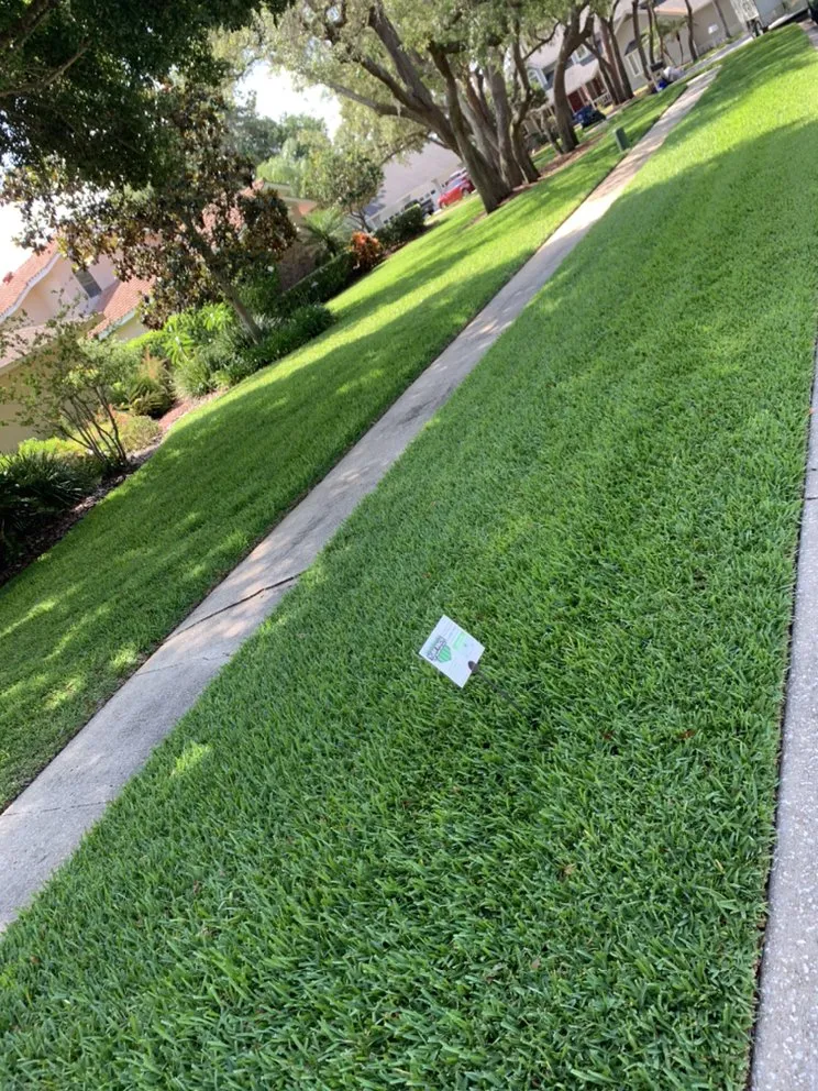 Professional landscape installation with custom design across Oldsmar, FL - Turf Pros Of Tampa Bay