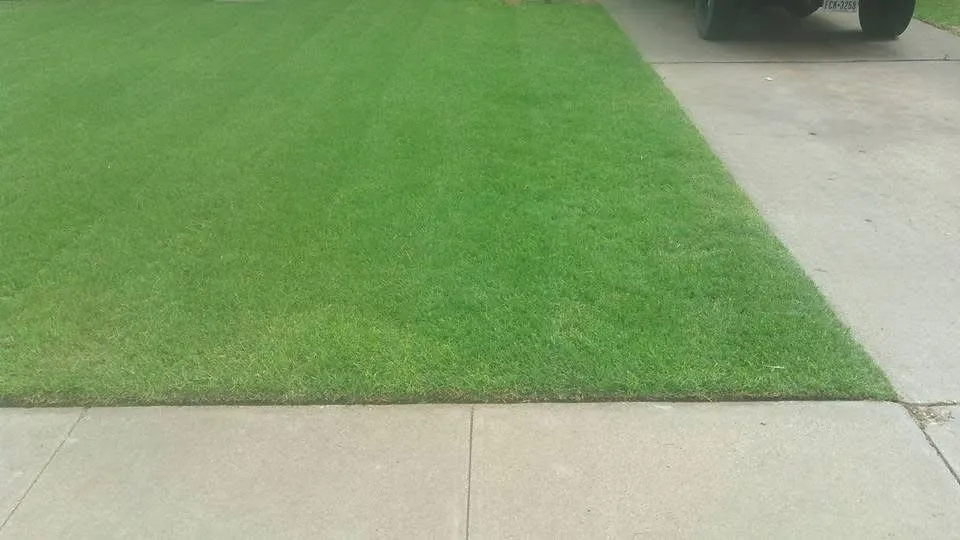 Expert landscaping services for residential properties across Lubbock, TX - Turf Raider Lawn & Landscape