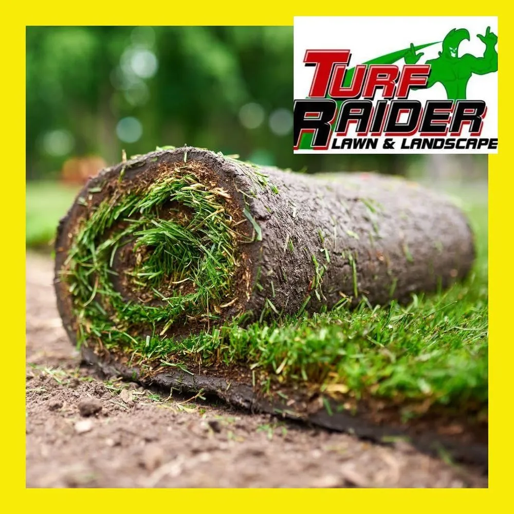 Affordable landscaping services in Lubbock, TX - Turf Raider Lawn & Landscape
