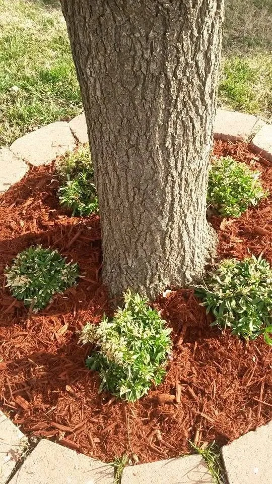 Reliable garden landscaping for outdoor upgrades in Lubbock, TX by Turf Raider Lawn & Landscape