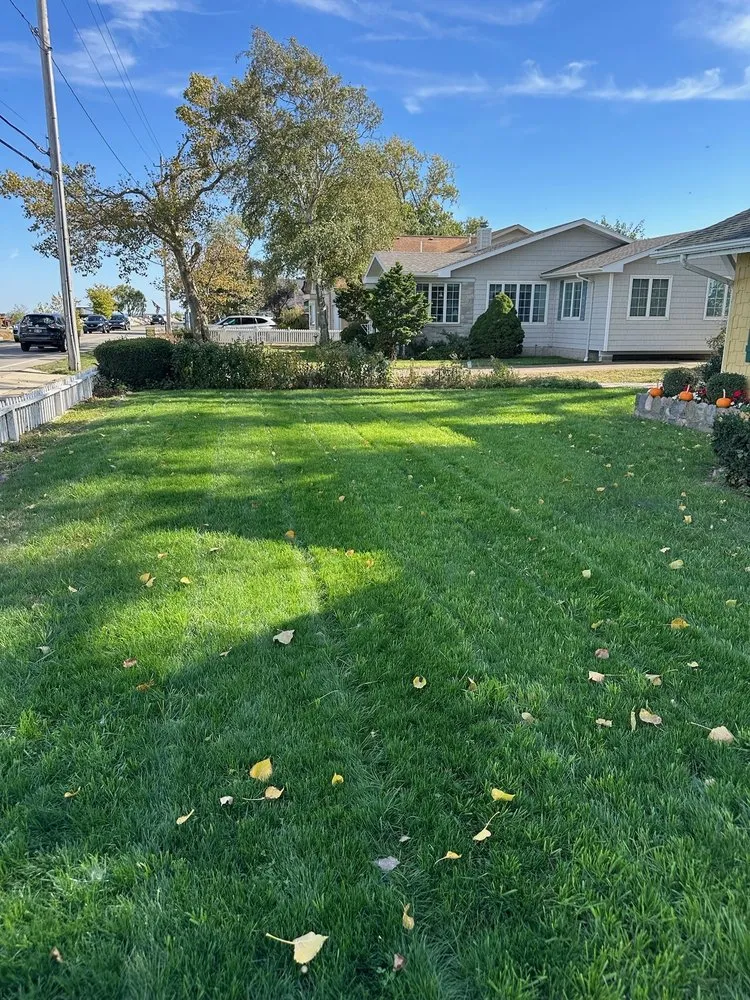 Local residential landscaping in Huron, OH - Turf Rehab