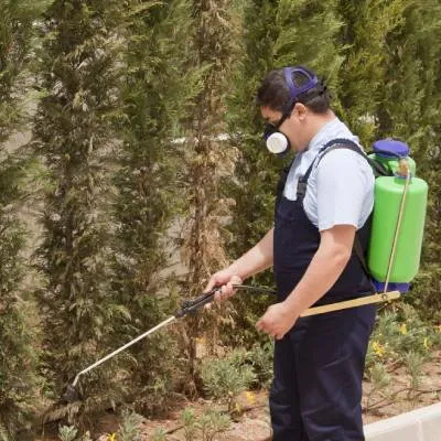 Affordable lawn mowing service for beautiful yards in Hazelwood, MO by Turf Right Lawn Service