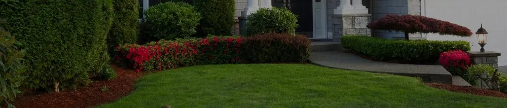 Trusted landscape installation experts serving Hazelwood, MO - Turf Right Lawn Service