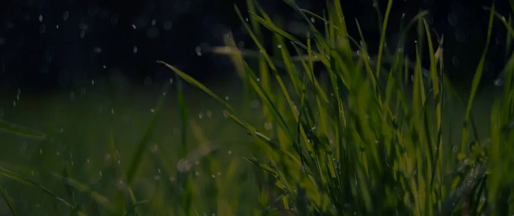 Trusted outdoor landscaping for homes across Hazelwood, MO - Turf Right Lawn Service