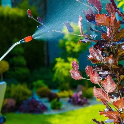 Professional garden landscaping for outdoor upgrades in Hazelwood, MO by Turf Right Lawn Service