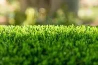 Expert residential landscaping for year-round maintenance across Redland, FL - Turf RX