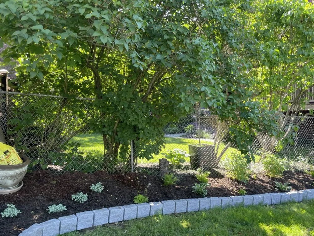 Reliable residential landscaping for residential properties in Quincy, MA by Turf Salamone