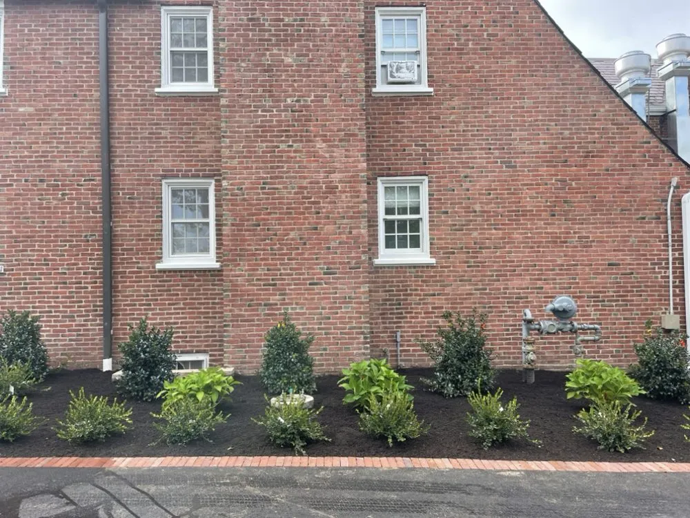 Reliable outdoor landscaping in Quincy, MA by Turf Salamone