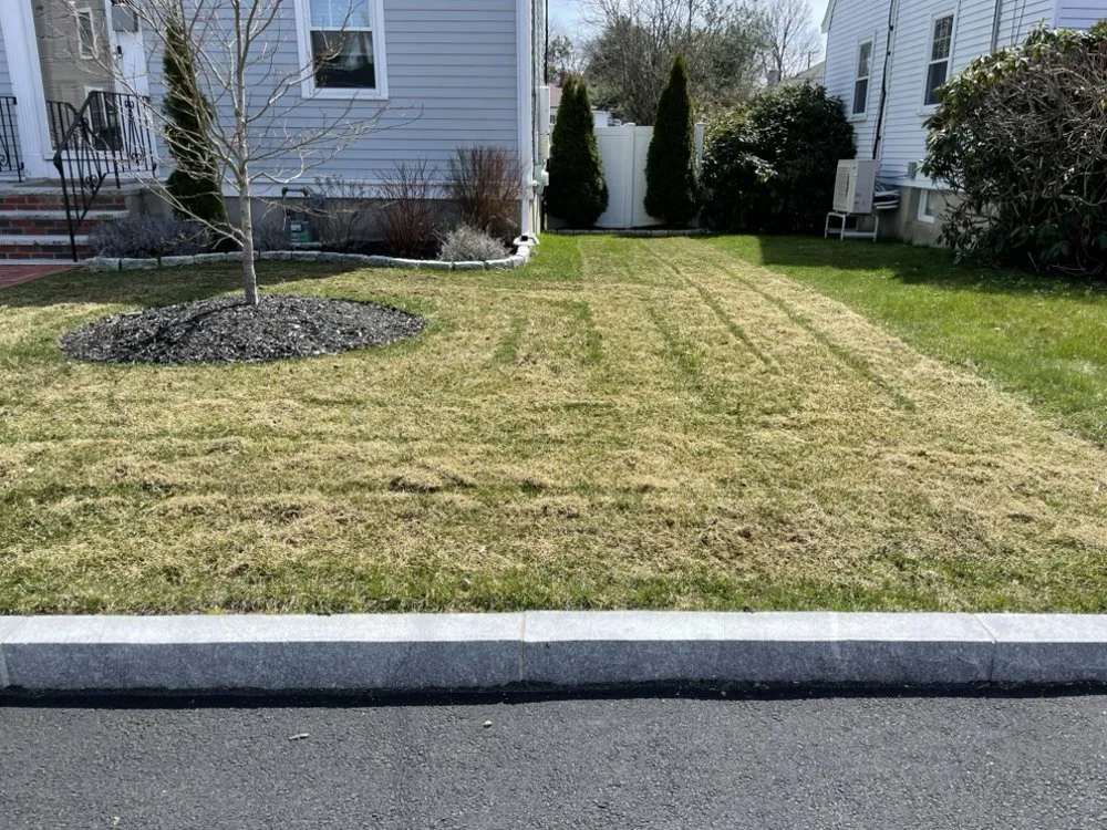 Affordable residential landscaping in Quincy, MA by Turf Salamone