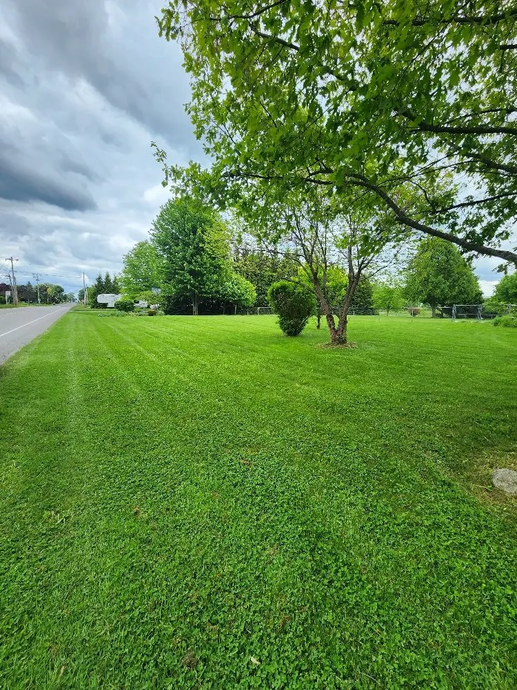Reliable lawn care service for residential properties across Rochester, NY - Turf Samurai Lawn Care