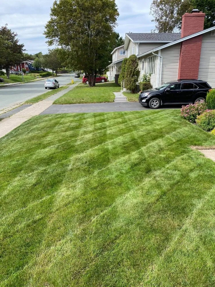 Custom lawn mowing service experts serving Rochester, NY - Turf Samurai Lawn Care