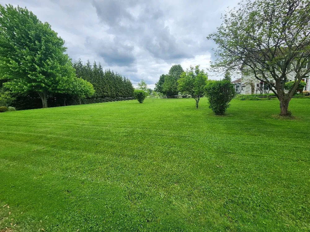 Local lawn mowing service experts serving Rochester, NY - Turf Samurai Lawn Care