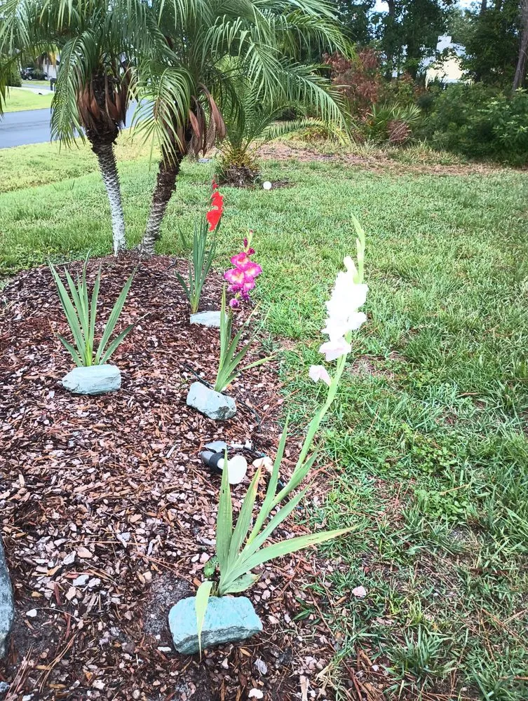 Reliable outdoor landscaping in Palm Coast, FL - Turf Savers Landscape