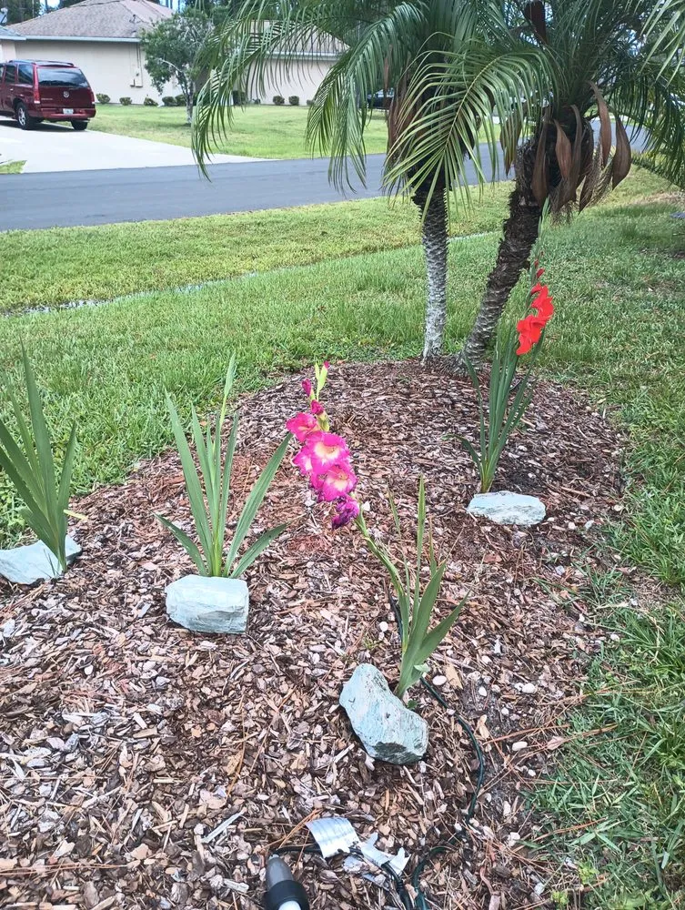 Trusted residential landscaping in Palm Coast, FL by Turf Savers Landscape