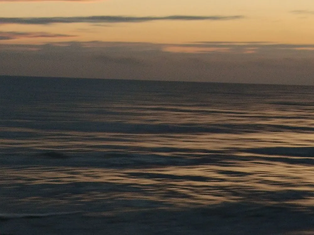 Top-rated yard maintenance for outdoor upgrades in Palm Coast, FL by Turf Savers Landscape