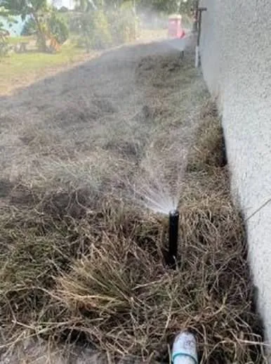 Trusted residential landscaping in Palm Coast, FL - Turf Savers Landscape