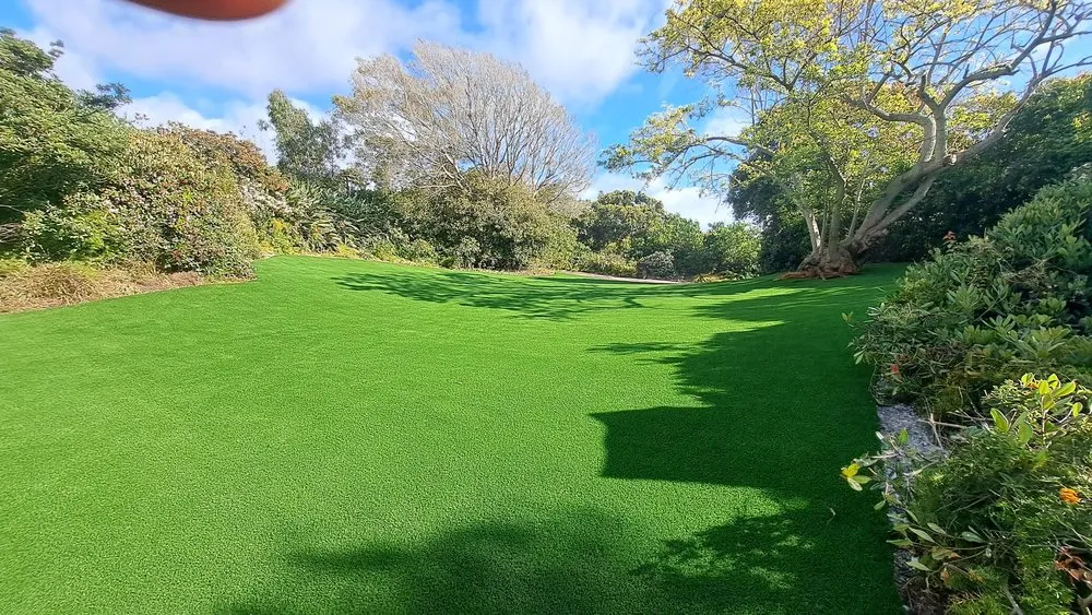Reliable yard cleanup service for residential properties in Spring valley, CA by Turf Scapes San Diego