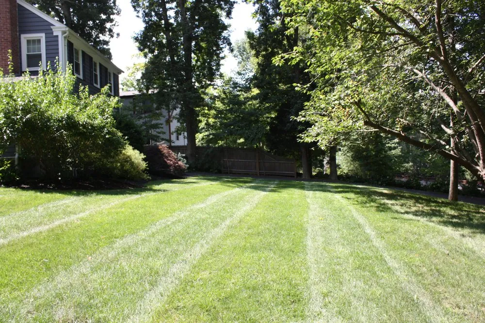 Expert landscaping services for homes in Clinton, CT by Turf Science