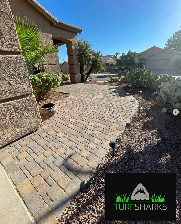Affordable outdoor landscaping in Phoenix, AZ by Turf Sharks