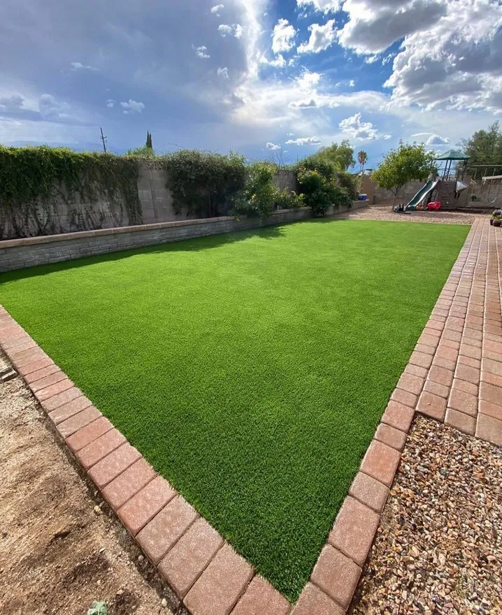 Professional lawn care service with custom design across Phoenix, AZ - Turf Sharks