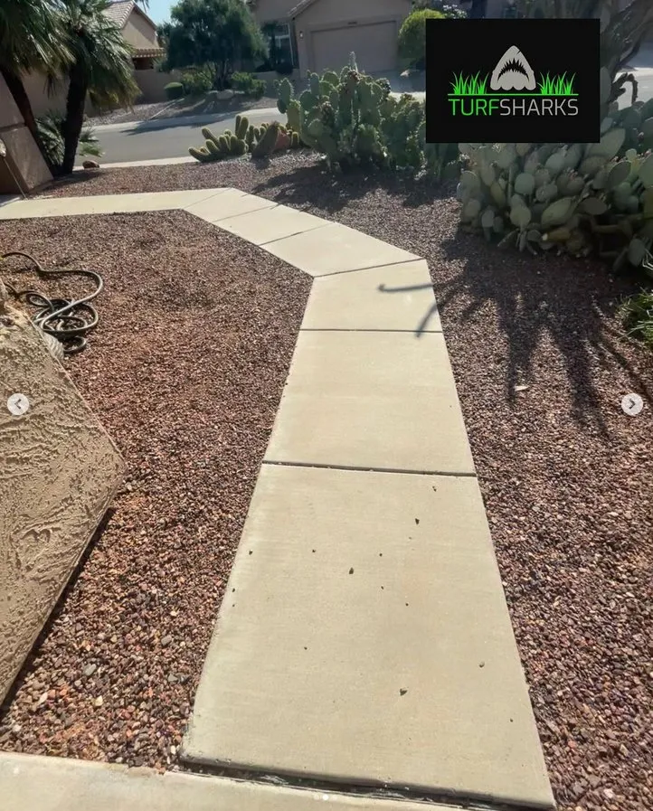 Top-rated landscape installation experts serving Phoenix, AZ - Turf Sharks