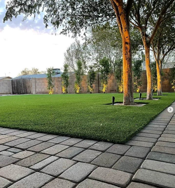 Local lawn mowing service experts serving Phoenix, AZ - Turf Sharks