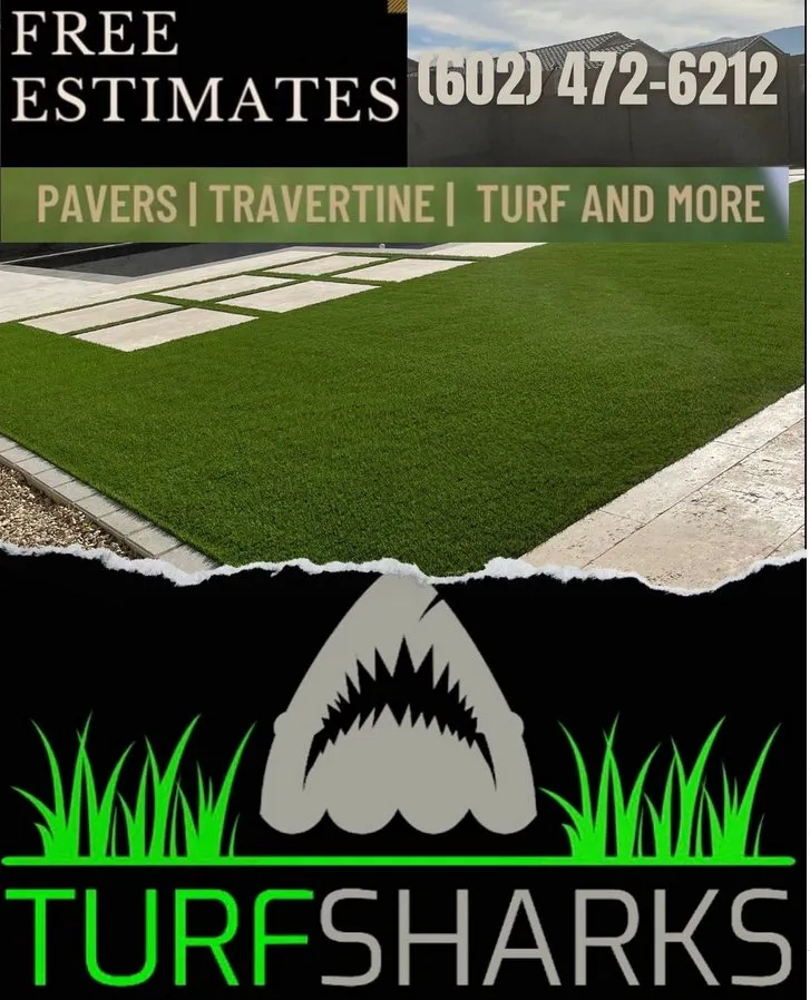 Expert residential landscaping for beautiful yards across Phoenix, AZ - Turf Sharks