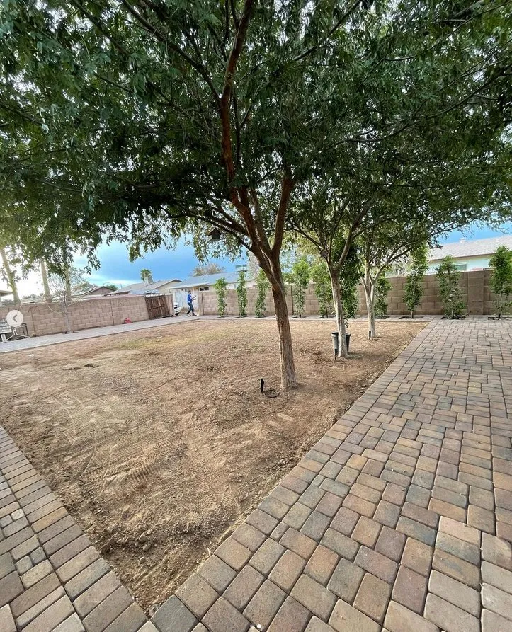 Trusted outdoor landscaping experts serving Phoenix, AZ - Turf Sharks